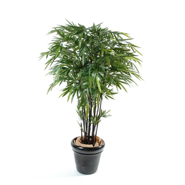 Bambou Black Natural Artificiel