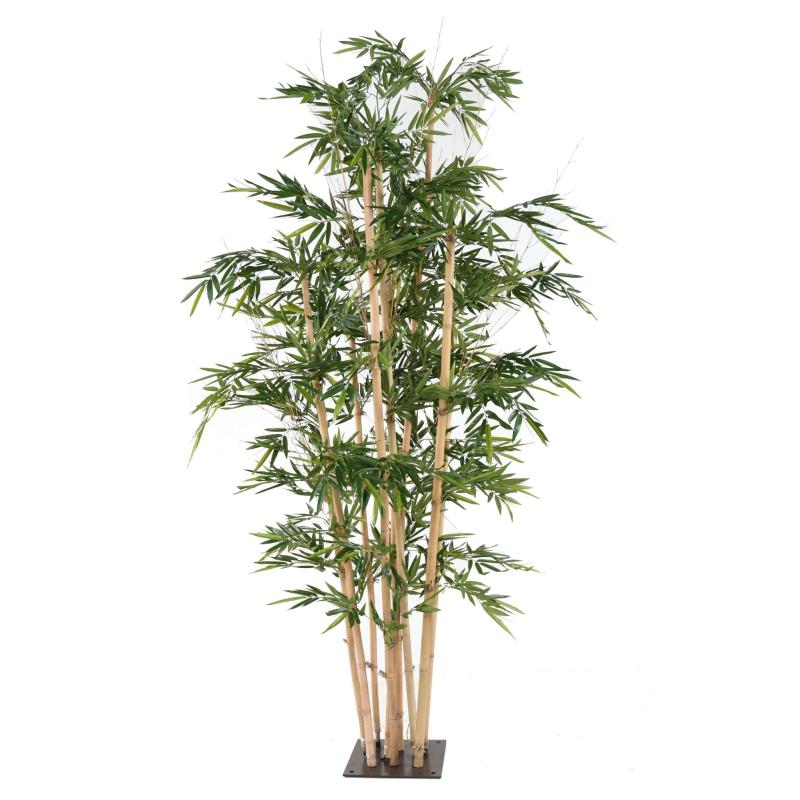 Bambou Géant 3.2 Mètres