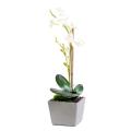 Orchidée artificielle Phalaenopsis Pot