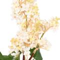 Lilas 82 Artificiel