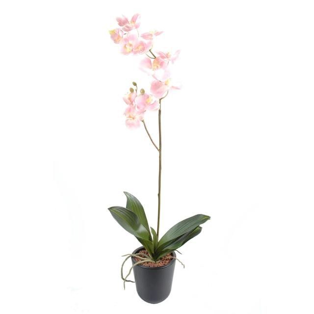 Tige D'orchidées Phalaenopsis Artificiel de 90 cm de Hauteur 3 Coloris