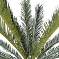 Cycas Artificiel Geant