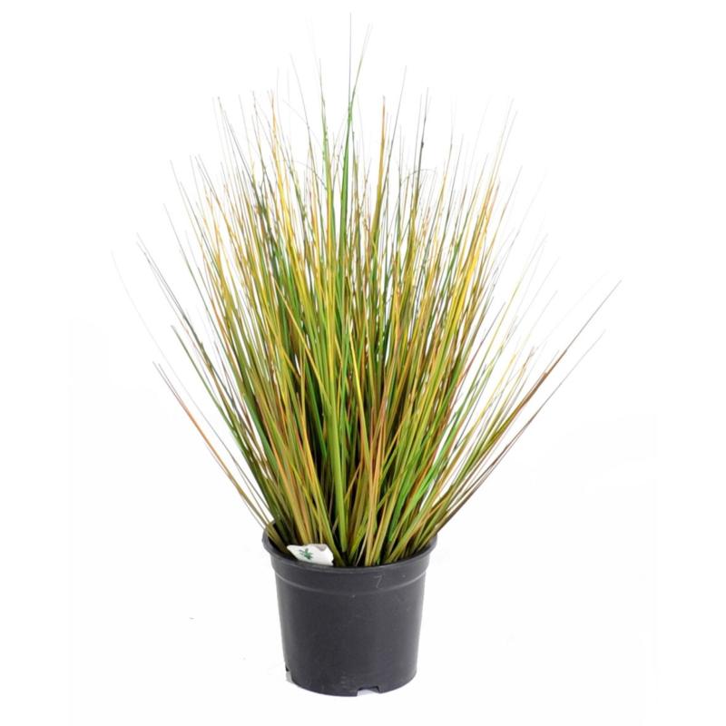 Onion Grass Artificiel GF