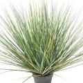 Onion Grass Artificiel NEW Round