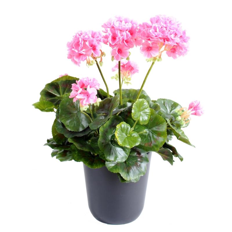 Geranium artificiel 30 cm