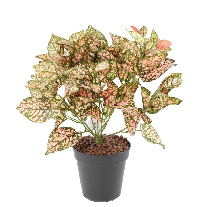 Coleus Artificiel