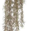 Tillandsia Artificiel Chute 95