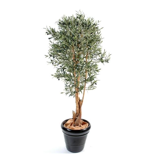 Olivier Artificiel NEW Tronc Noueux en Bois Naturel Avec Olives Noires