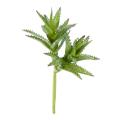 Succulente artificielle mini