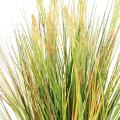 Onion Artificiel Grass Graine