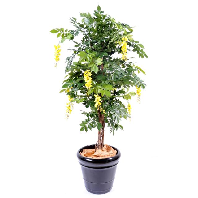 Glycine Multi TREE Artificiel