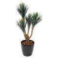 YUCCA Artificiel BABY *4