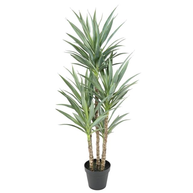 Yucca Artificiel Rapier 5 Tiges