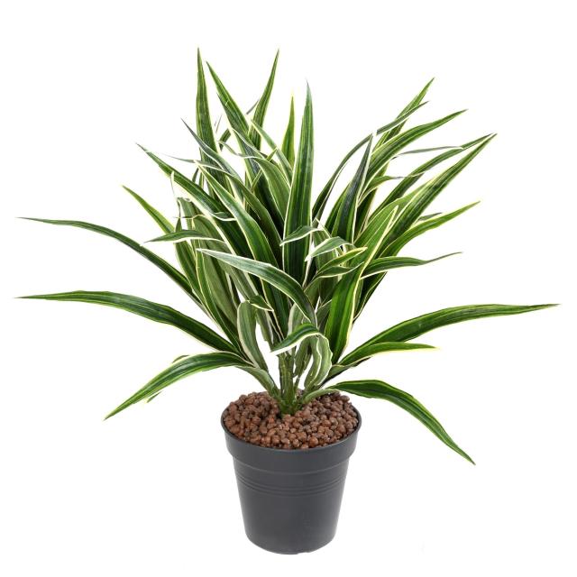 Chlorophytum Artificiel Buisson