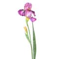 Iris Artificiel