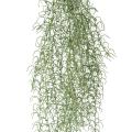 Tillandsia Artificiel 90