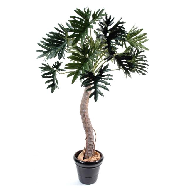 Philodendron Artificiel Selloum Arbre