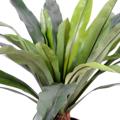 Asplenium Artificiel Tronc 30 Feuilles