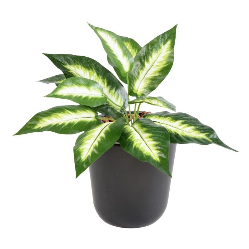 Dieffenbachia Artificiel Mini