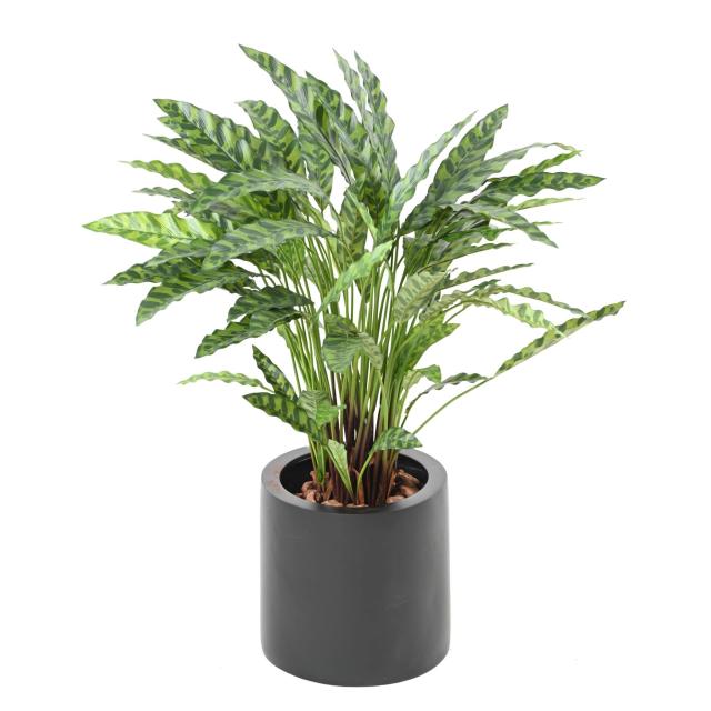 Calathea Artificiel 90cm en Pot