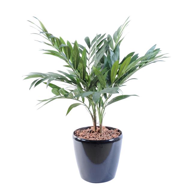 Palmier Artificiel Parlour 65 cm de Hauteur et 55 cm de Largeur en Pot