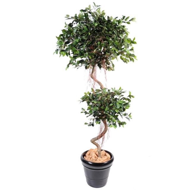 Ficus Artificiel Spirale 175 cm Composé de 2 Boules Tronc Torsadé