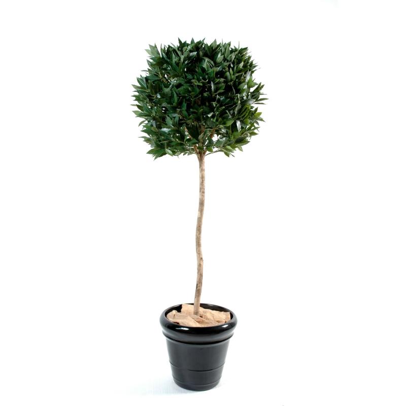 Laurier artificiel boule Tige