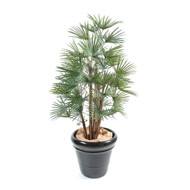 Livistonia Artificiel Composé de 3 Troncs en Bois