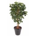 Schefflera artificiel