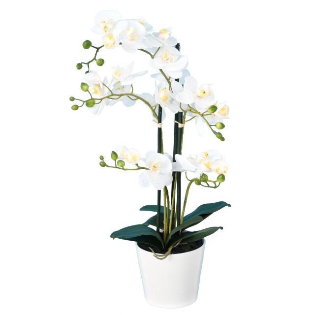 Phalaenopsis Artificielle Pot*5