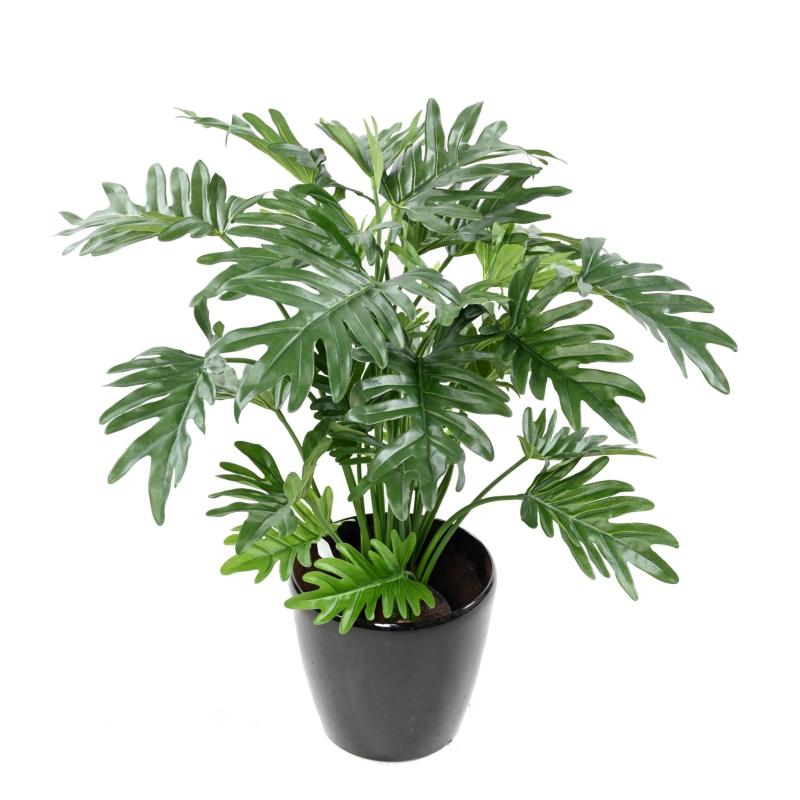 Philodendron Artificiel Selloum