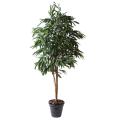 Ficus Artificiel Alii Royal