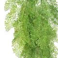 Asparagus Artificiel Rond Chute