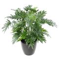 Philodendron Artificiel Selloum