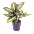 Dieffenbachia artificiel en piquet