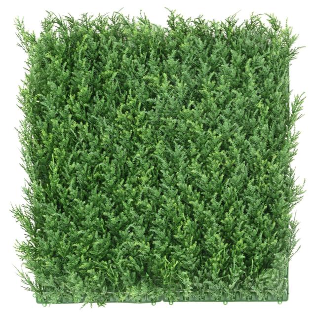 Cypres Artificiel Plaque NEW 50*50