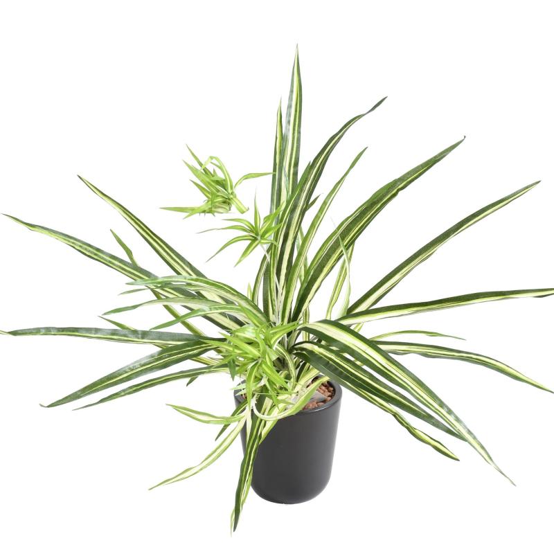Chlorophytum Artificiel * 82