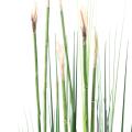 Presle Grass Artificielle