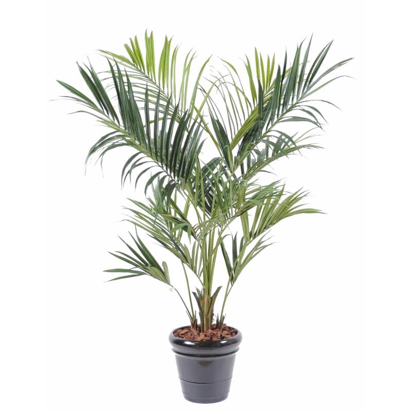 Kentia Artificiel Royal