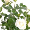 Rosier artificiel Royal 60 cm