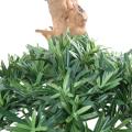 Podocarpus artificiel Nuage Large