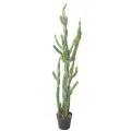 Cactus Artificiel Finger F