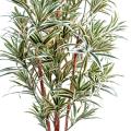 Dracaena Artificiel Reflexa