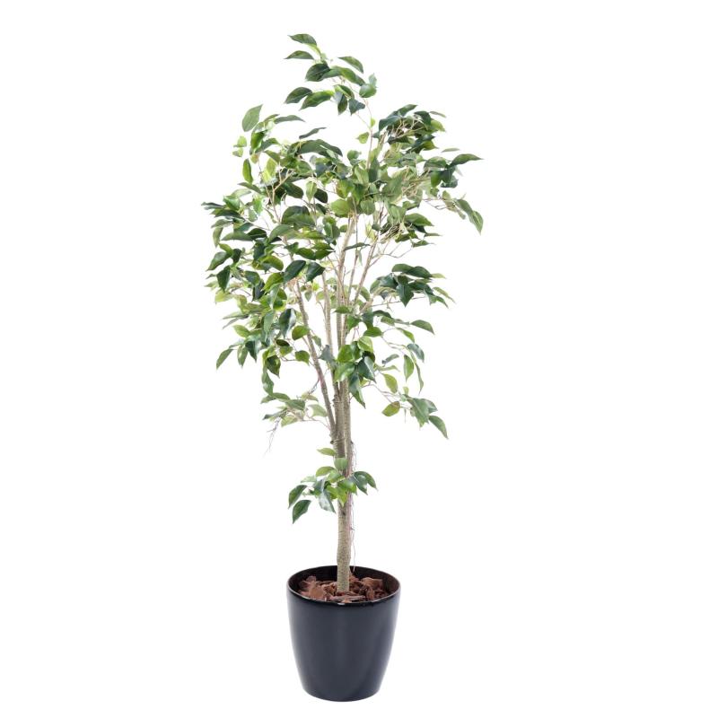 Ficus Artificiel