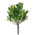 Succulente Artificielle Corail