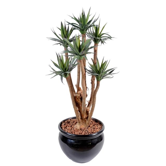 Agave*7 Artificielle