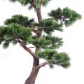 Pin artificiel bonsai uv résistant