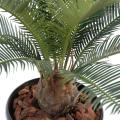 Cycas artificiel baby