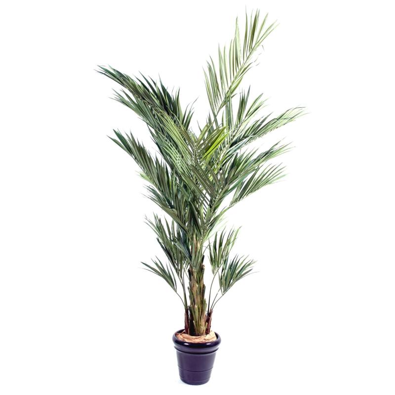 Kentia Artificiel Royal