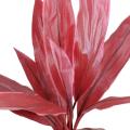 Dracena artificiel Cordyline 60 cm